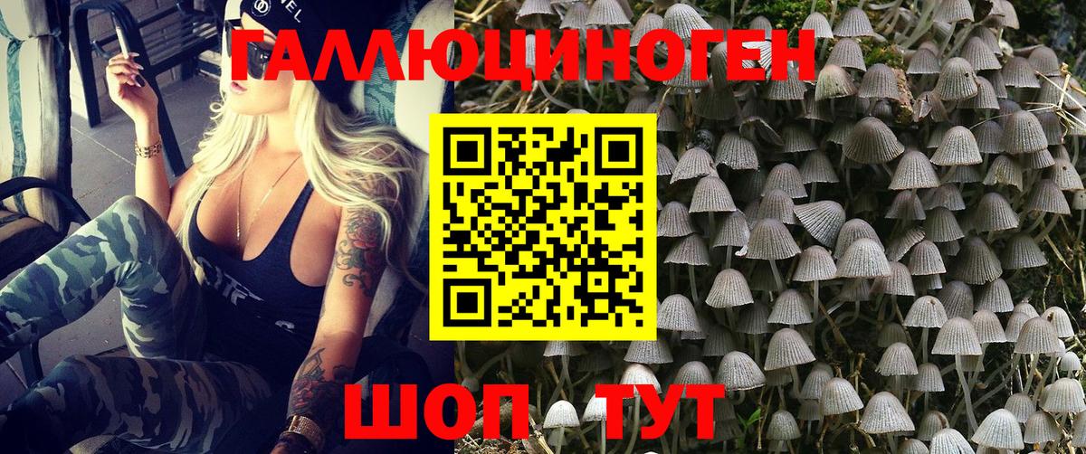 Галлюциногенные грибы мицелий  Вход с VPN  купить наркотик  Каменка 